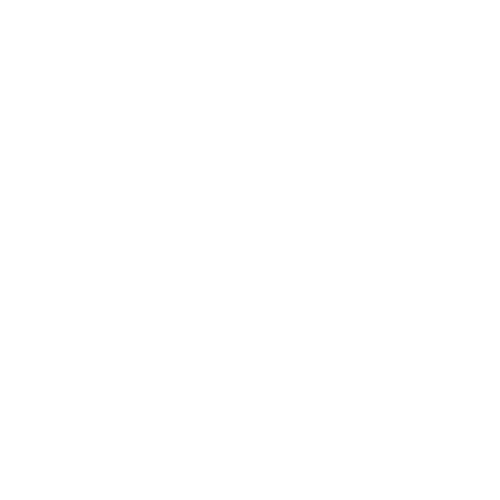 icon_health.png